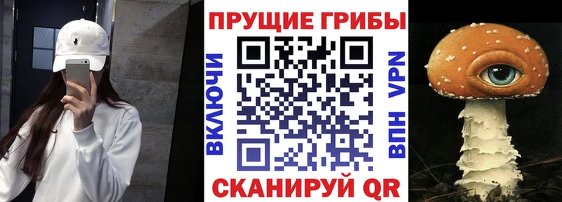 Галлюциногенные грибы Cubensis  mega ССЫЛКА  Мезень  что такое наркотик 